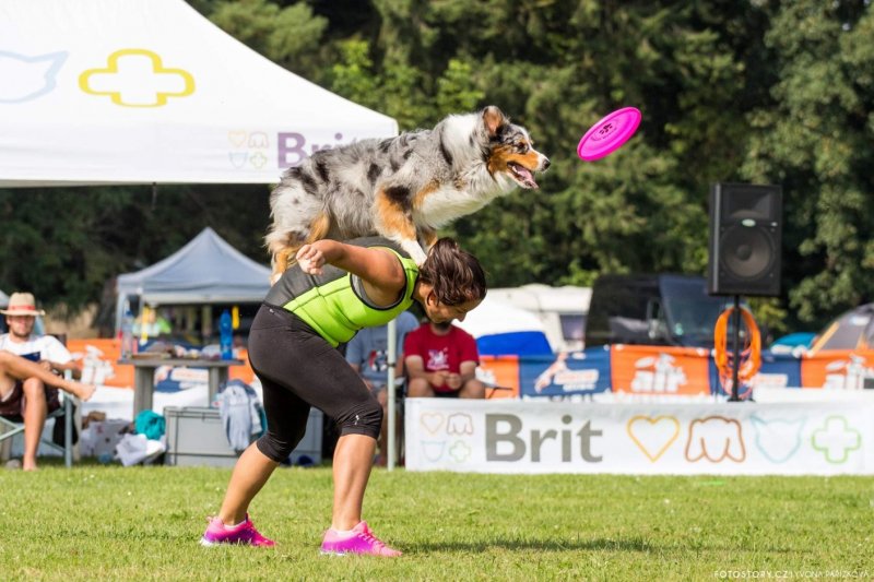 Dogfrisbee