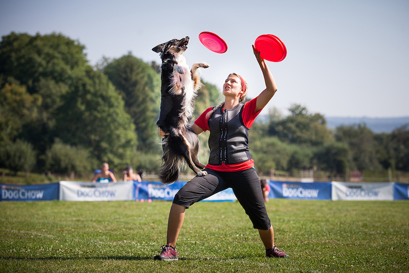 frisbee